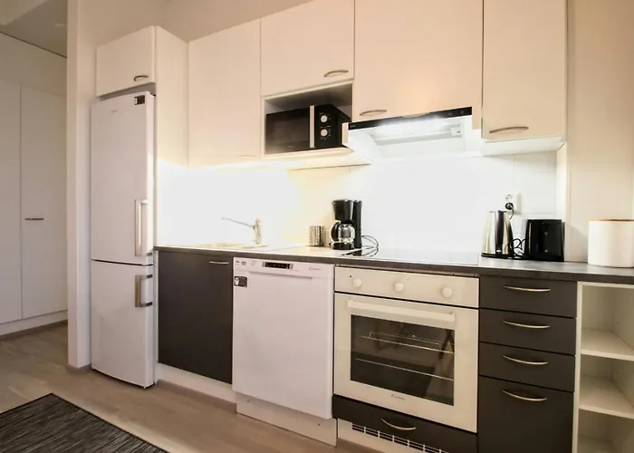 Apartman For 2 With Sauna In Downtown Jyväskylä